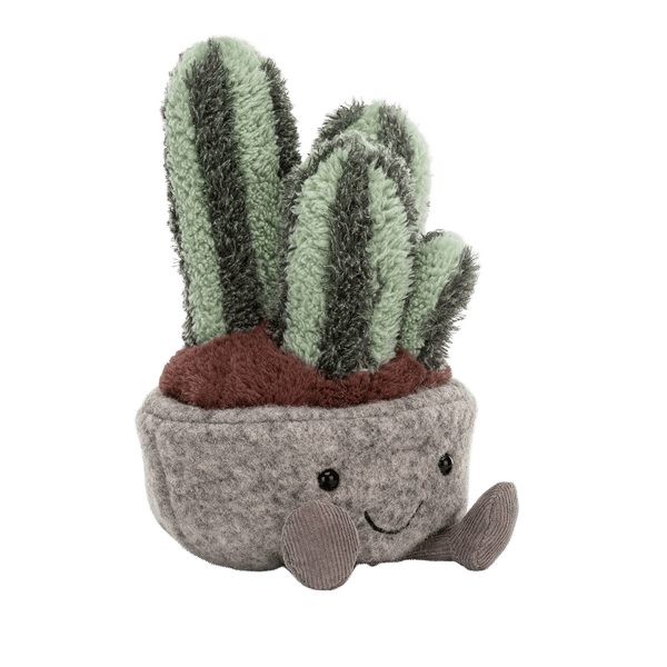 Silly Succulent Columnar Cactus