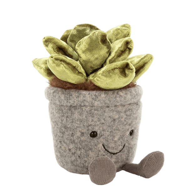 Silly Succulent Jade