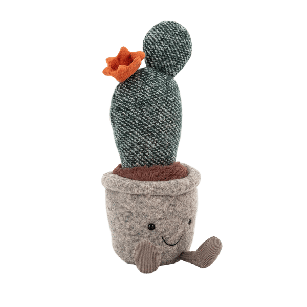 Silly Succulent Prickly Pear Cactus
