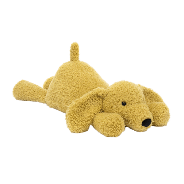 Splootie Puppy
