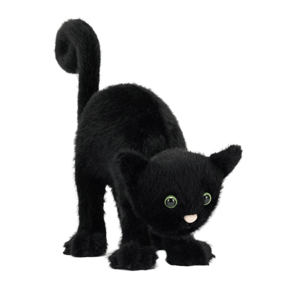 Spookipaws Cat