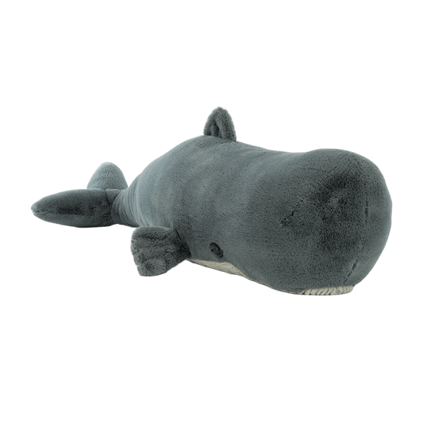 Sullivan the Sperm Whale