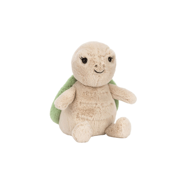 Thimble Turtle