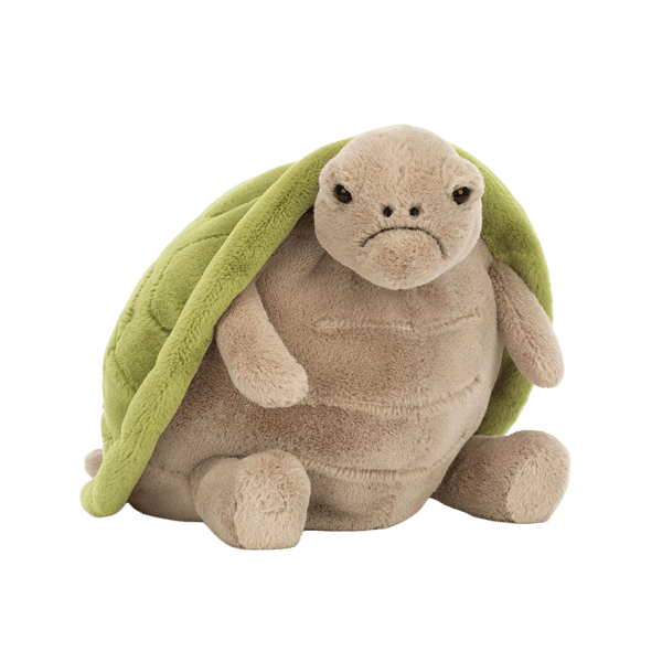 Timmy Turtle