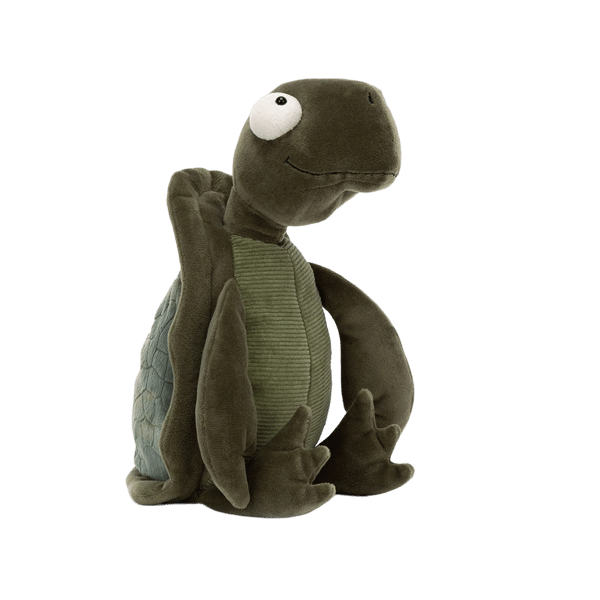 Tommy Turtle