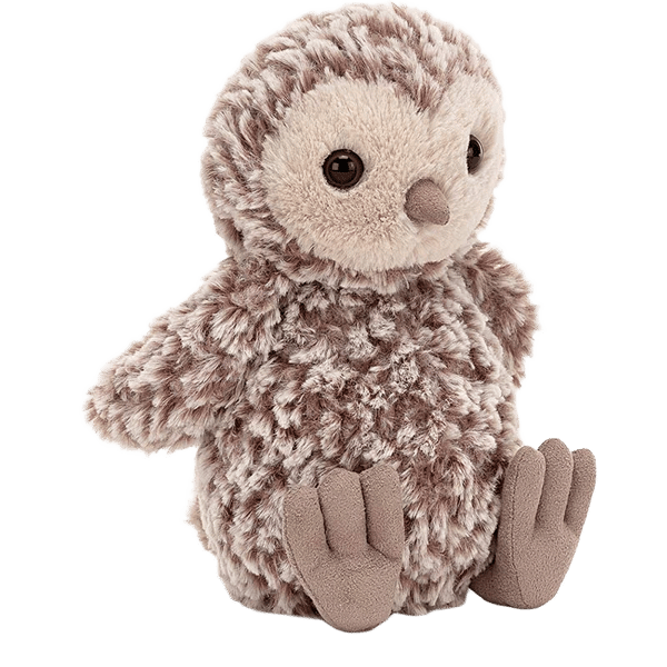 Torvill Owl Chick
