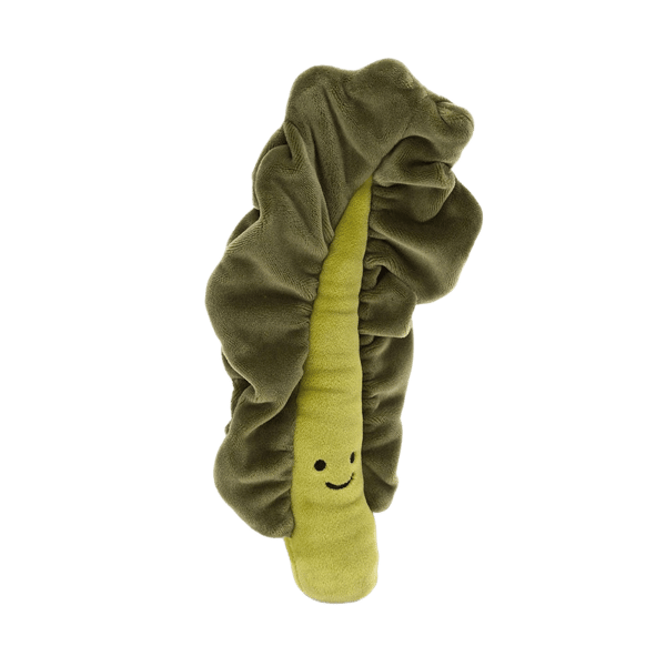 Vivacious Vegetable Kale Leaf