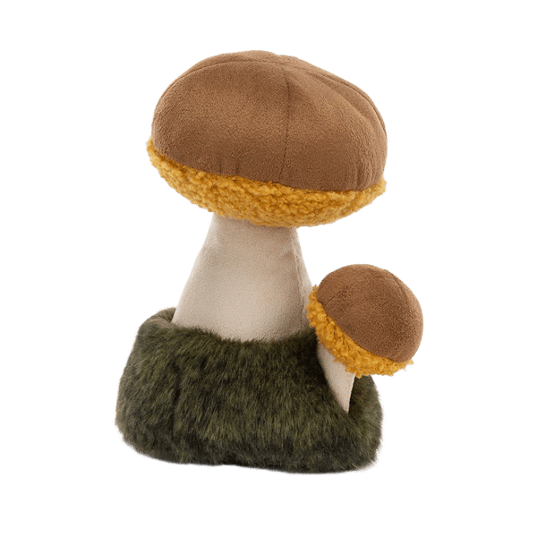 Wild Nature Boletus Mushroom