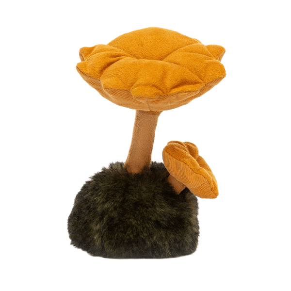 Wild Nature Chanterelle Mushroom