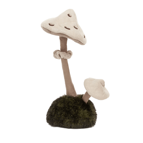 Wild Nature Parasol Mushroom