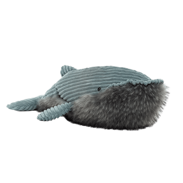 Wiley Whale